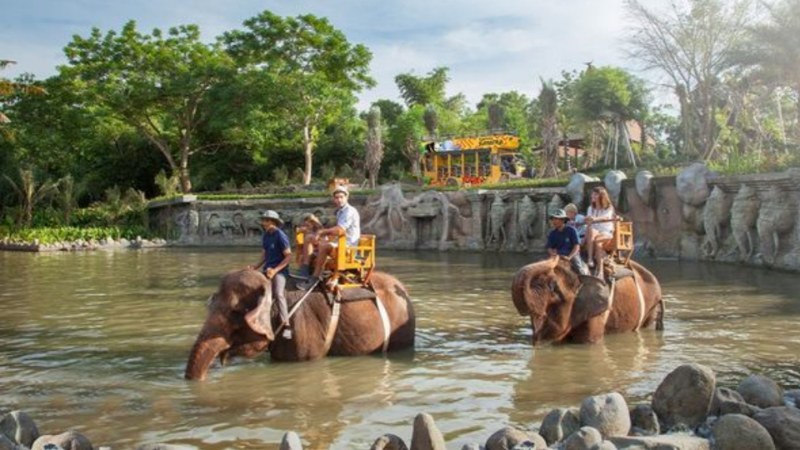 Bali Safari & Marine Park